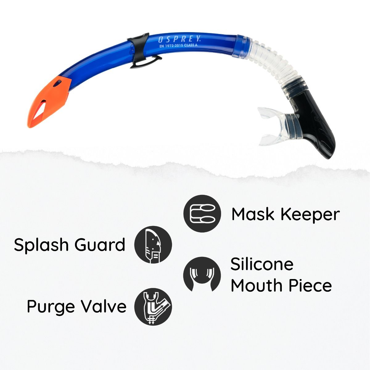 snorkelling gear