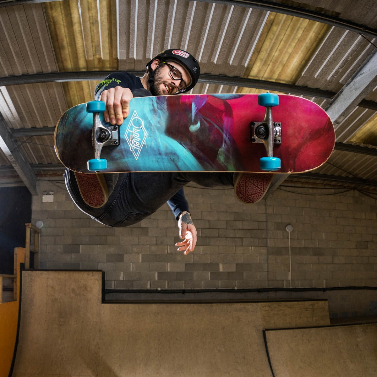 skateboard for beginners adults