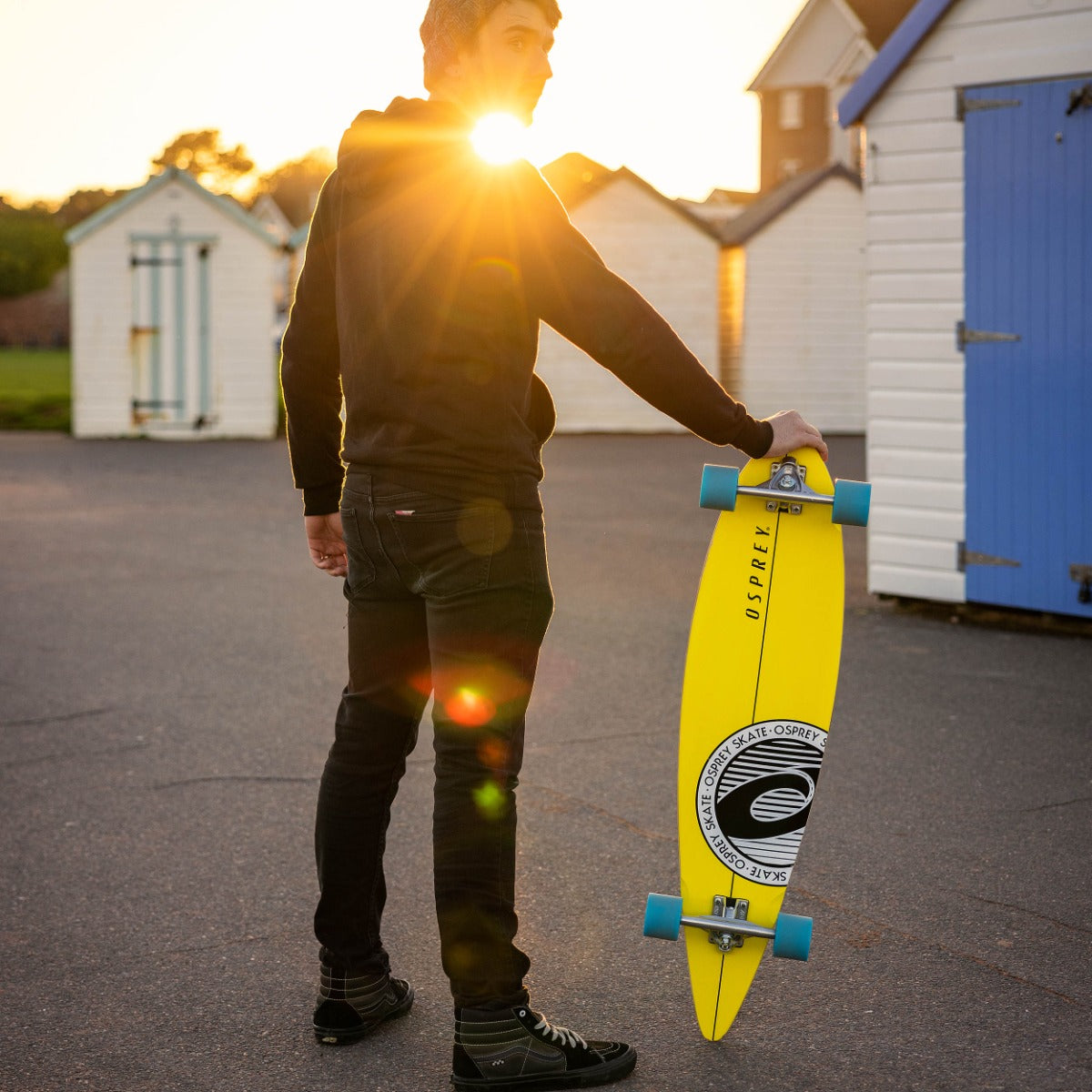 Pintail Longboard Skateboard - Stripe