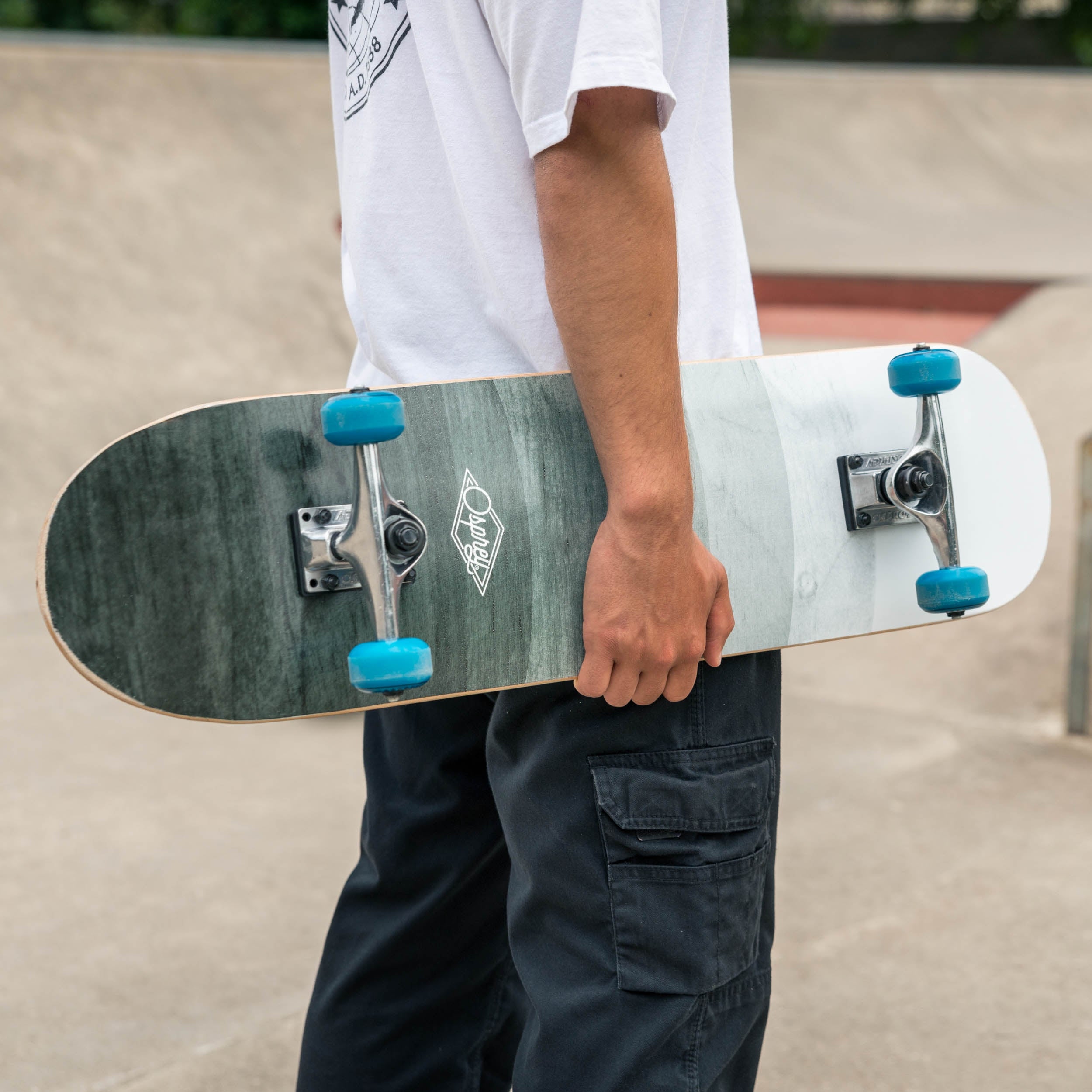 skateboard for beginners adults